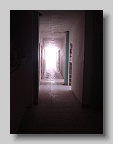 Gerber 2 (14)